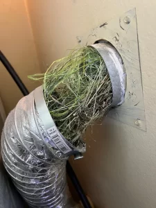 Dryer Vent Blocked with Grass Space Air Duct Cleaning