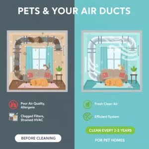 Air Duct Cleaning for Homes with Pets