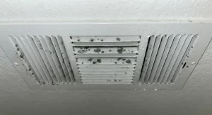 Molded Air Vent