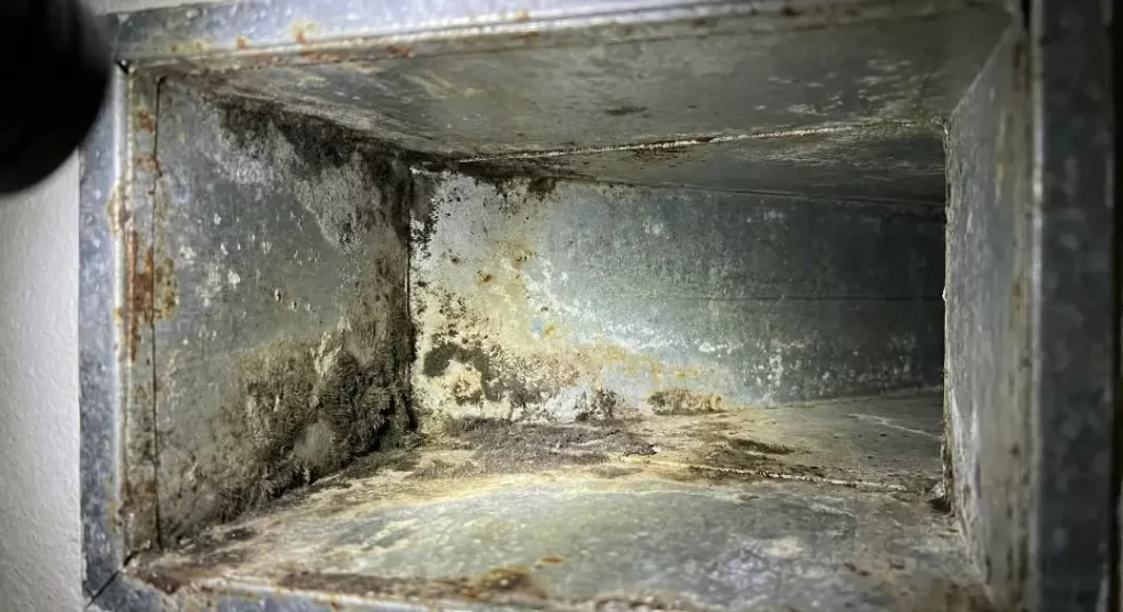 A close-up internal view of a metal air duct showing significant dark mold and debris accumulation
