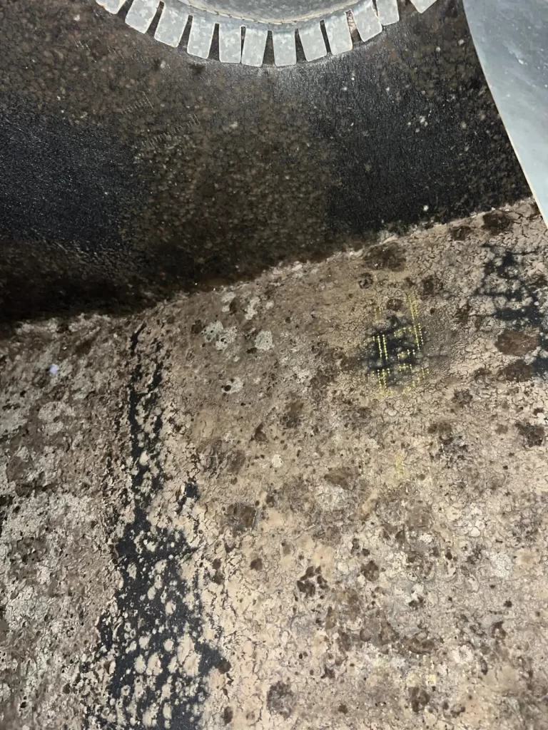 A close-up photograph of the internal lining of a plenum box, highlighting extensive biological growth and dark spotting on the textured insulation material.