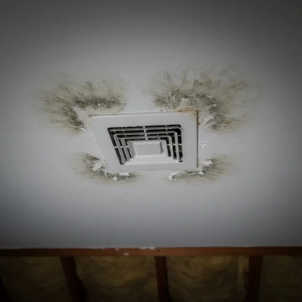 A white ceiling with a square AC vent in the center, surrounded by four large patches of dark green and black mold spreading onto the drywall.